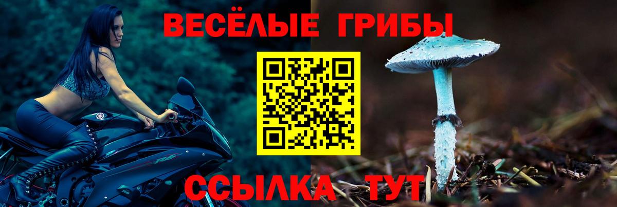 Галлюциногенные грибы Psilocybe  Вход с VPN  Владимир  Псилоцибиновые грибы Psilocybe 