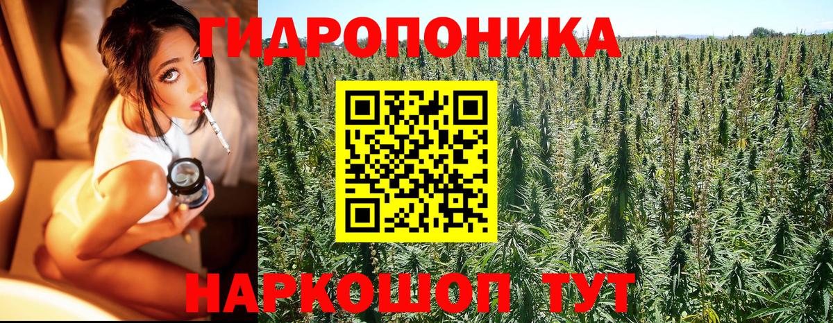 Бошки Шишки семена Владимир